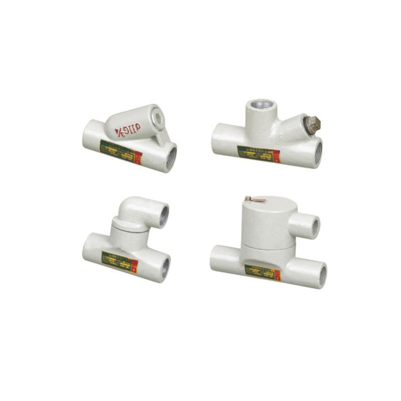 BAG系列防爆隔離密封盒(dⅡ)